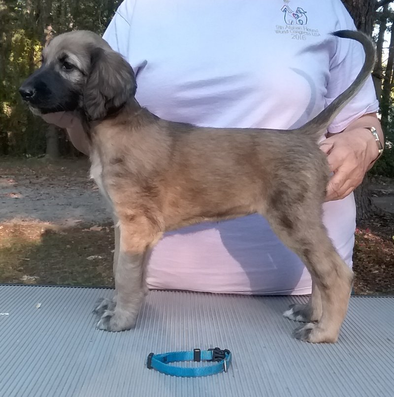 Blue Girl 6 Weeks.jpg - 1891 K